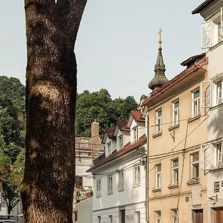 April1550 Boutique Otel